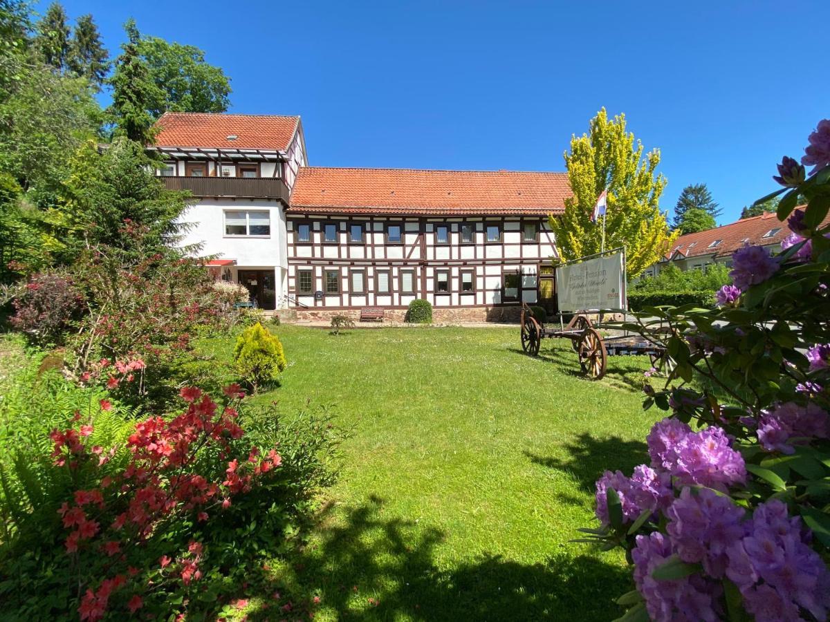 Hotel Pension Gelpkes Muehle บัดซัคซา ภายนอก รูปภาพ